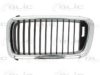 BMW 51138125811 Radiator Grille